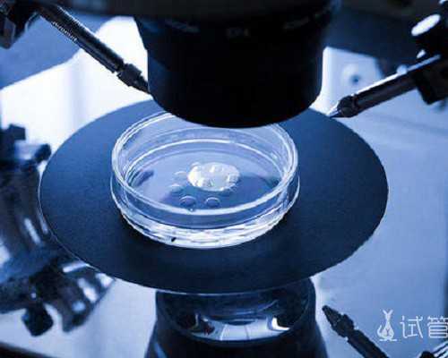 全国哪个医院有供卵,人工授精后为什么还要打绒促