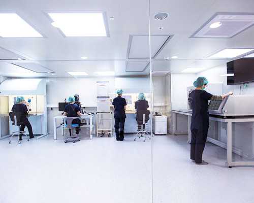 国内专业的供卵试管,怀孕中期三维彩超能够检查哪些项目？