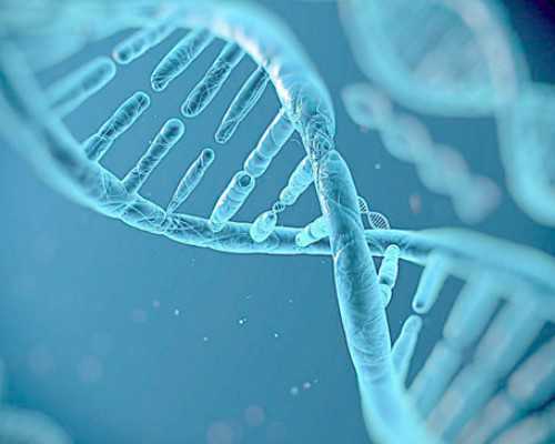 国内供卵助孕医院排名榜,在人类精子库女护士,人类精子库社会效益体现在