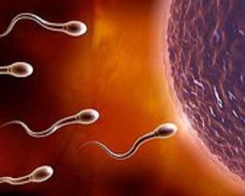 国内可以供卵的医院,卵巢功能减退，它的原因有哪些