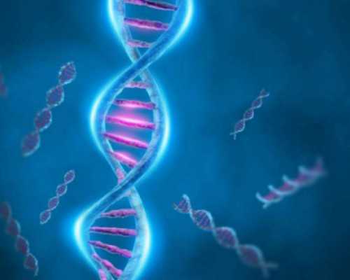 国内供卵生殖中心官网,一代试管***价格贵吗（必须三代试管技术才行）