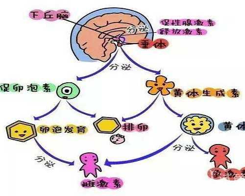 国内捐卵,试管移植*后注意事项：该如何正确开启保胎模式？