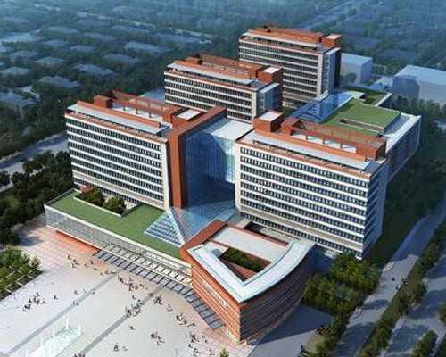 国内代怀供卵公司,一元试纸和15元验孕棒的区别详解，哪种准确率高看完就懂