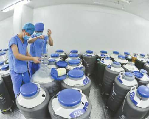 国内借卵人工代孕公司服务,试管婴儿双胞胎的价格是多少(影响试管婴儿费用的因素都有哪些)