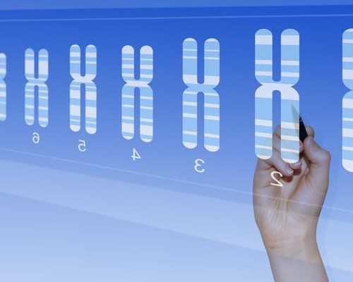 国内专业供卵公司,想试管婴儿*个混血儿可以吗国内可以做混血试管吗