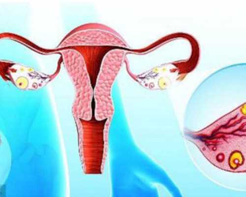 国内三甲医院提供卵子,试管五个月了！来说说我的*经历！