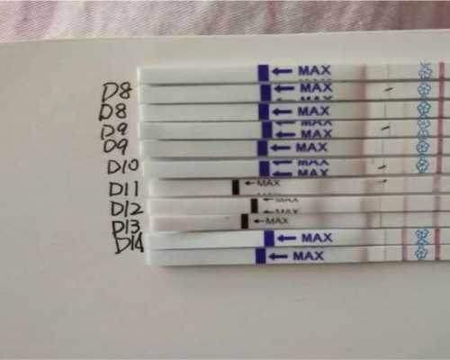 中国代怀孕价格表,三围指什么意思啊（三围指什么意思）