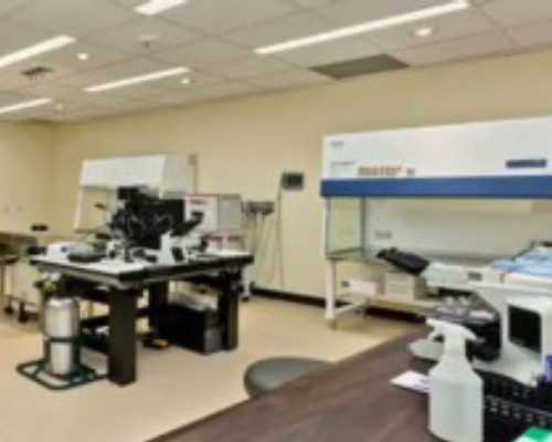 中国女生捐卵,单身试管规定分享(国内单身女性可以做试管婴儿吗)