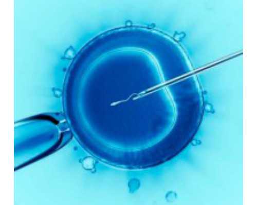 国内代孕方式及代孕价格,全国最出名私立试管医院是哪家呢多少钱！