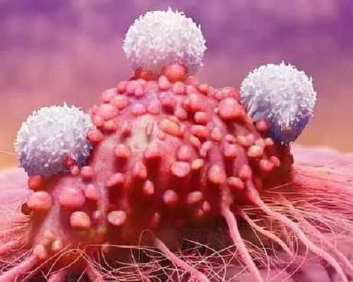 国内做供卵试管婴儿的医院,单身女性做试管婴儿大概要多少钱？二十万够吗？