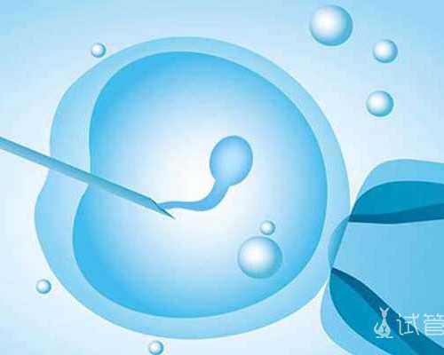 国内私人代孕公司,上海试管三代在什么时候知道性别
