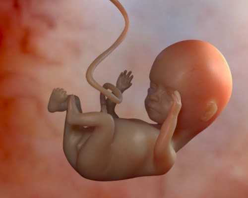 国内代怀医院费用,最后一次(关于最后一次介绍)