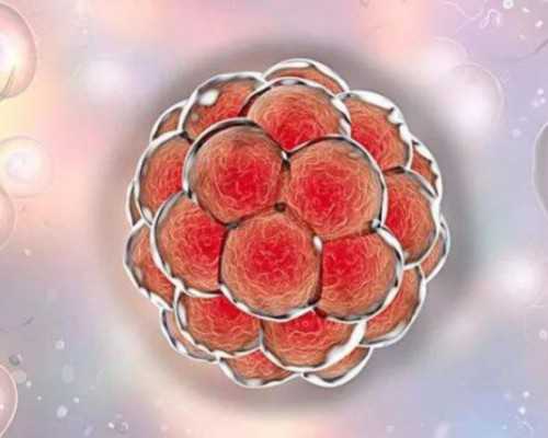 国内三代代孕生殖服务,什么情况下要做第三代试管婴儿