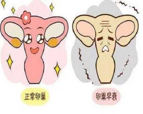 国内最大的供卵机构,荆州10家试管机构被骗，8万块钱够了吗？