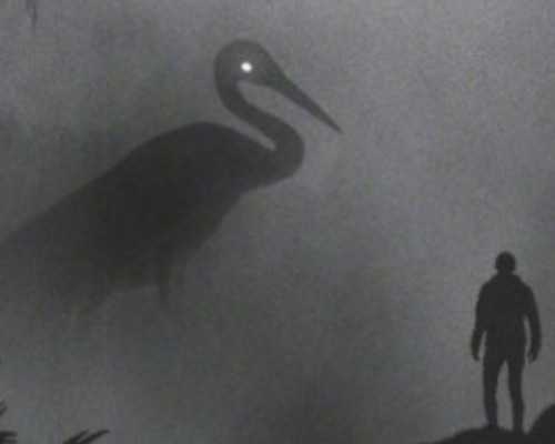 国内代生哪里便宜,湘雅名医卢光琇、张红试管答疑会只此一次，不排队！有优惠！