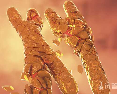 国内私人供卵机构排行榜,初次去医院做供精人工授精,有哪些流程?