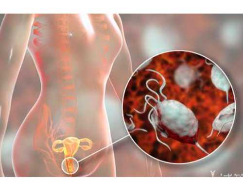 国内试管供卵中介,暖心孙女慈祥奶奶，大四女生回校拍的这组毕业照真有爱！